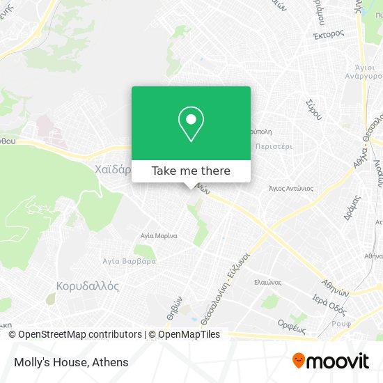 Molly's House map