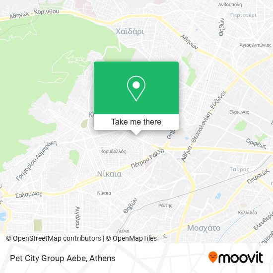 Pet City Group Aebe map