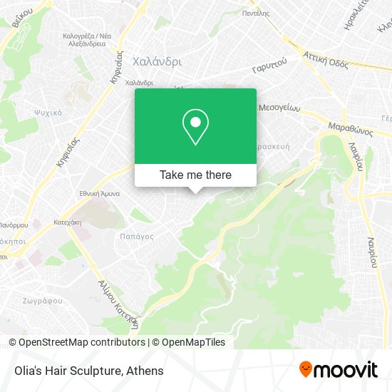 Olia's Hair Sculpture map