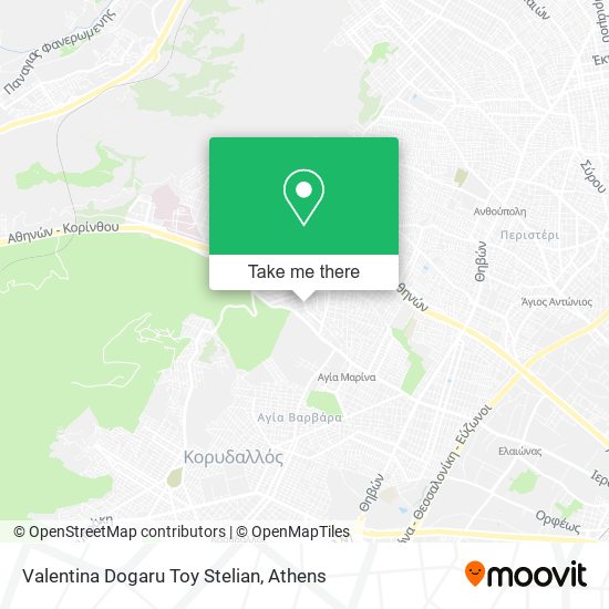 Valentina Dogaru Toy Stelian map