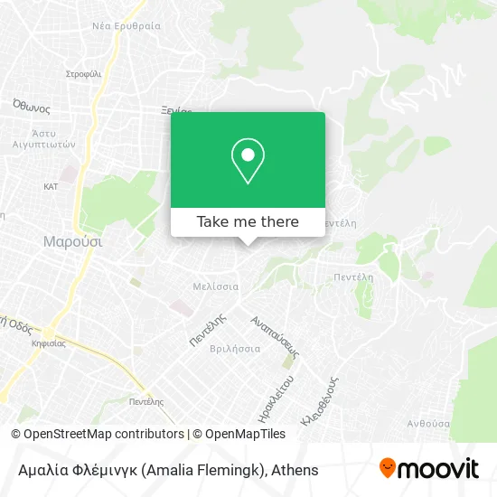 Αμαλία Φλέμινγκ (Amalia Flemingk) map