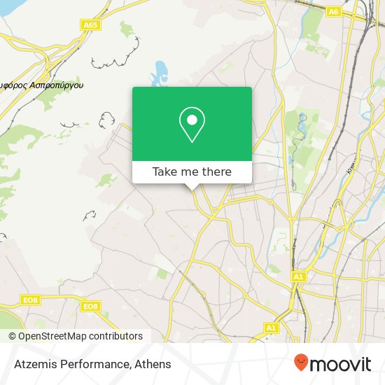 Atzemis Performance map