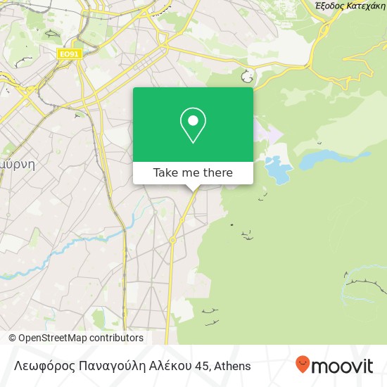 Λεωφόρος Παναγούλη Αλέκου 45 map