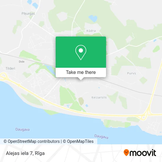 Карта Alejas iela 7