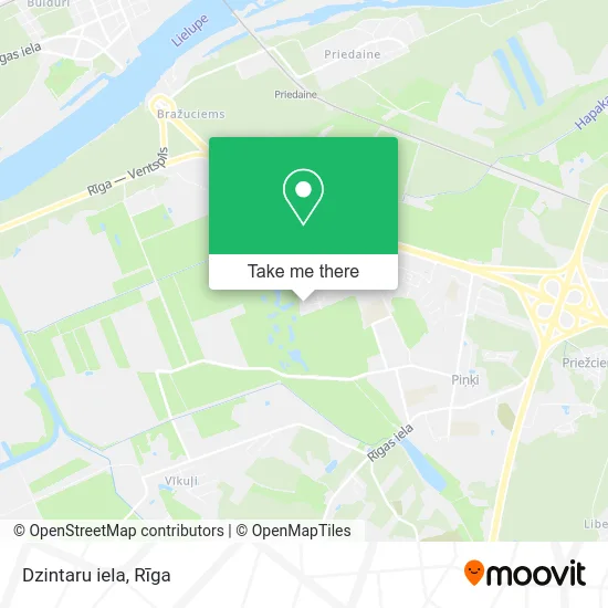 Dzintaru iela map
