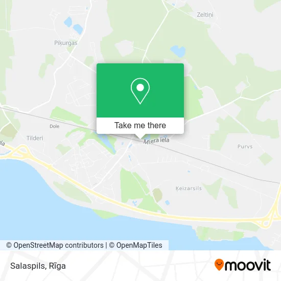 Карта Salaspils