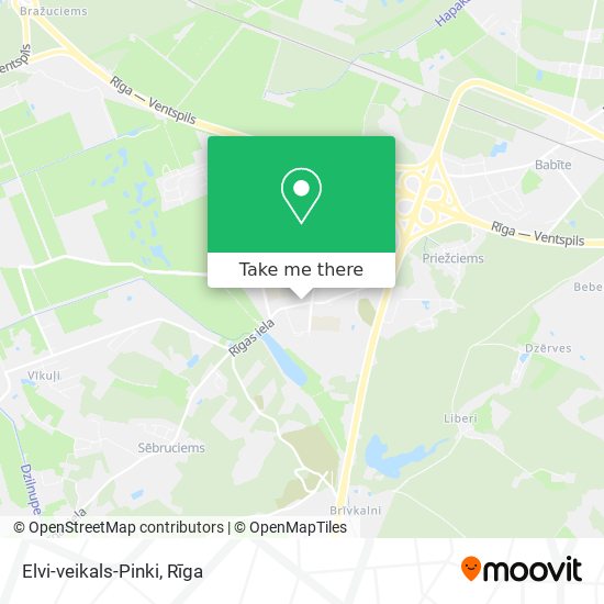 Elvi-veikals-Pinki map