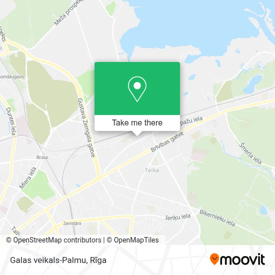 Galas veikals-Palmu map