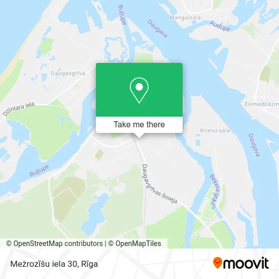 Mežrozīšu iela 30 map