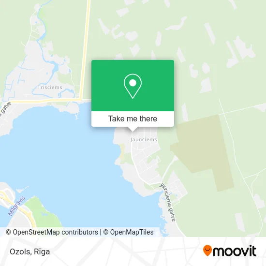 Карта Ozols