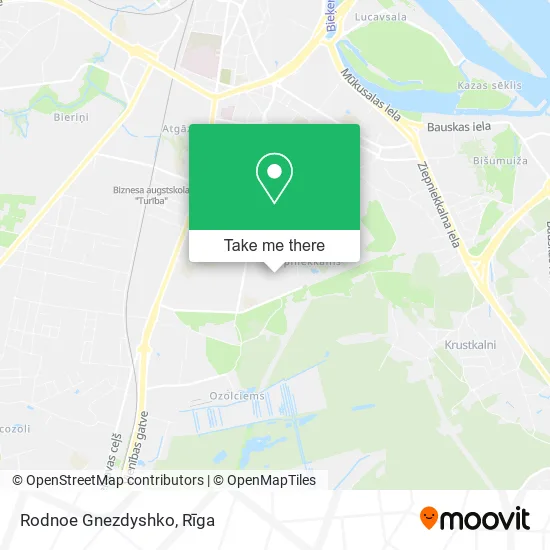 Карта Rodnoe Gnezdyshko