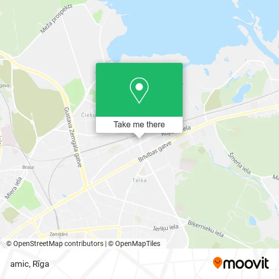 Карта amic