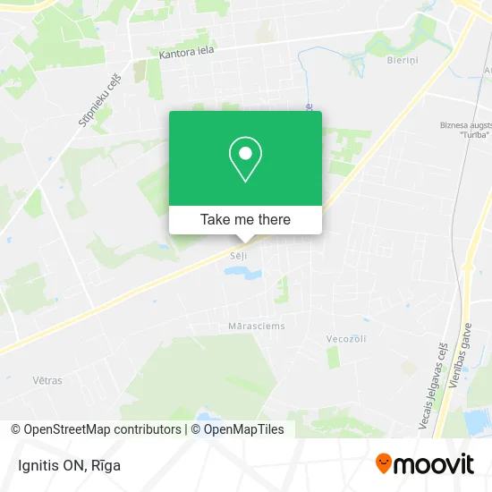 Карта Ignitis ON