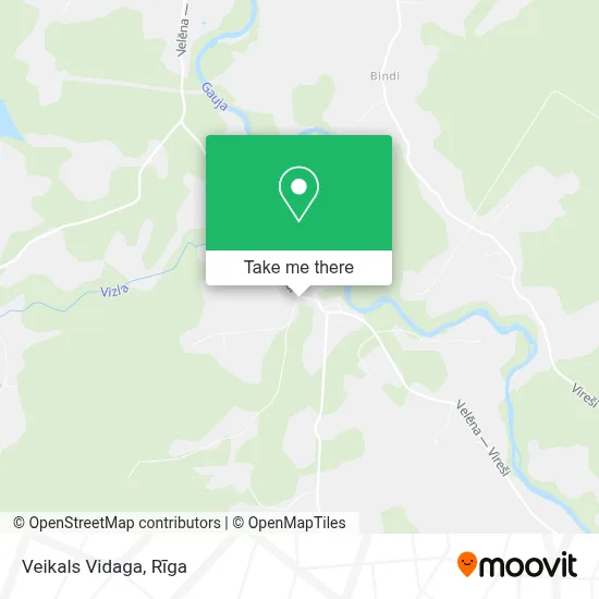 Veikals Vidaga map