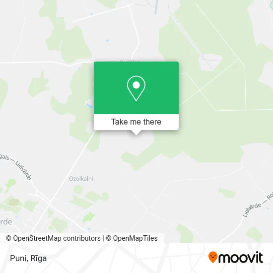 Puni map