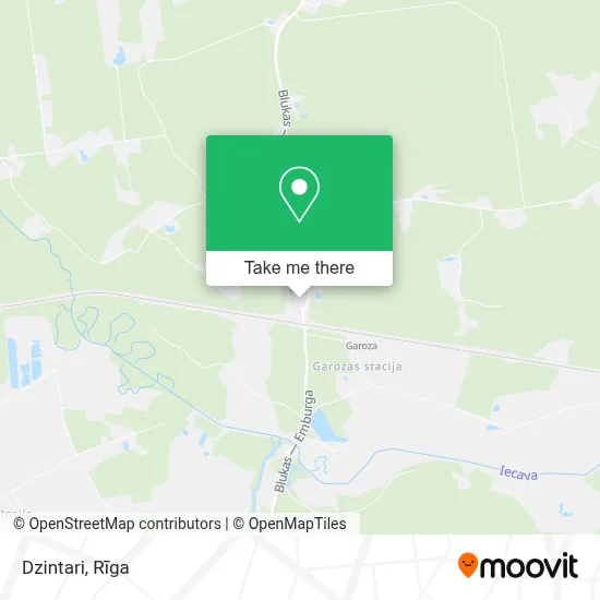 Dzintari map