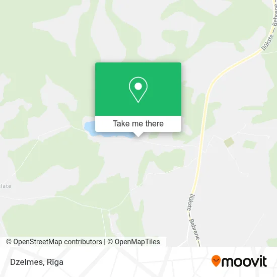 Dzelmes map