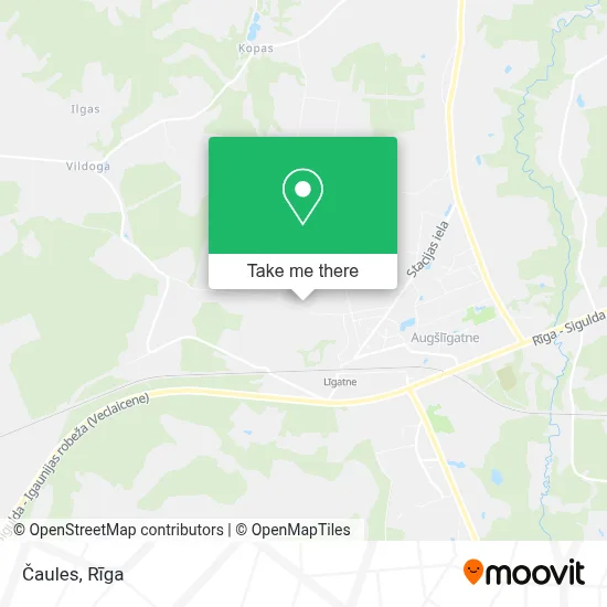 Čaules map