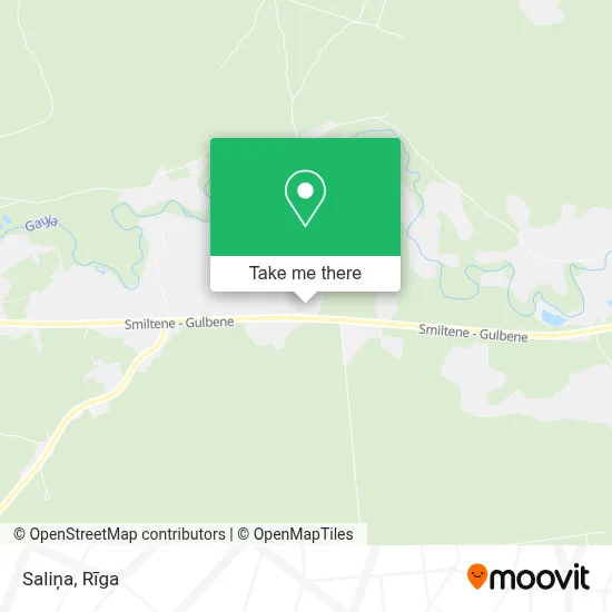 Saliņa map