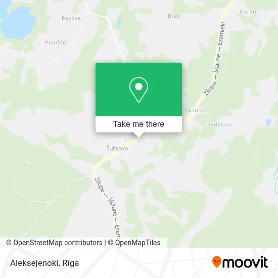 Aleksejenoki map