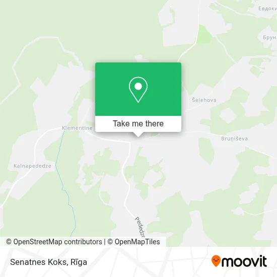 Senatnes Koks map