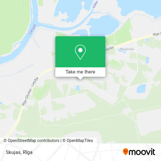 Skujas map