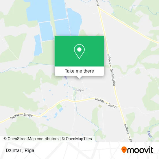 Dzintari map