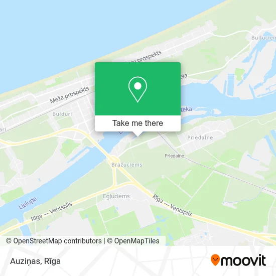 Auziņas map