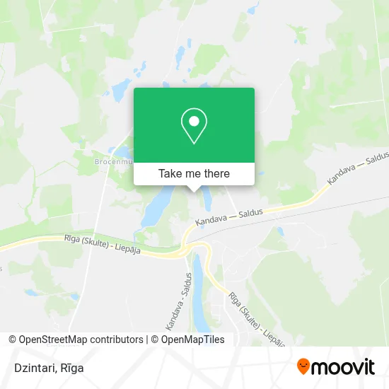 Dzintari map