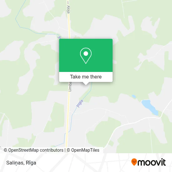 Saliņas map