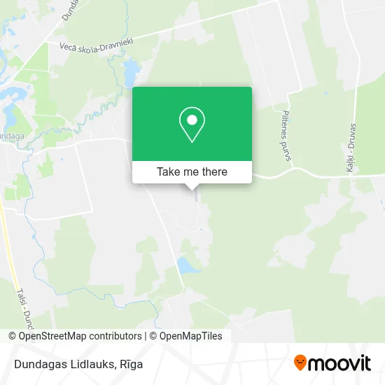 Dundagas Lidlauks map