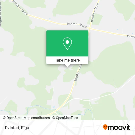 Dzintari map