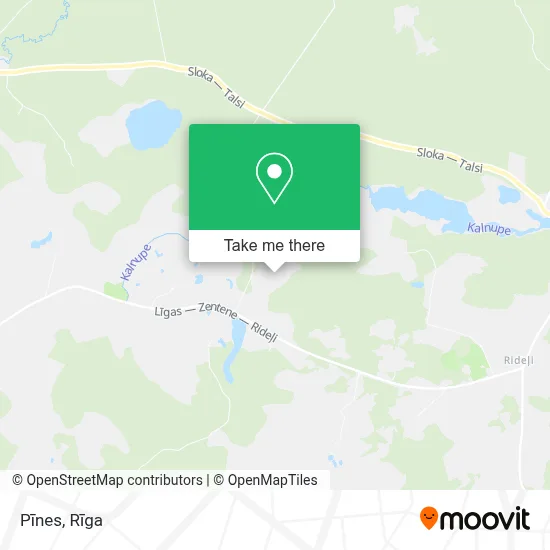 Pīnes map