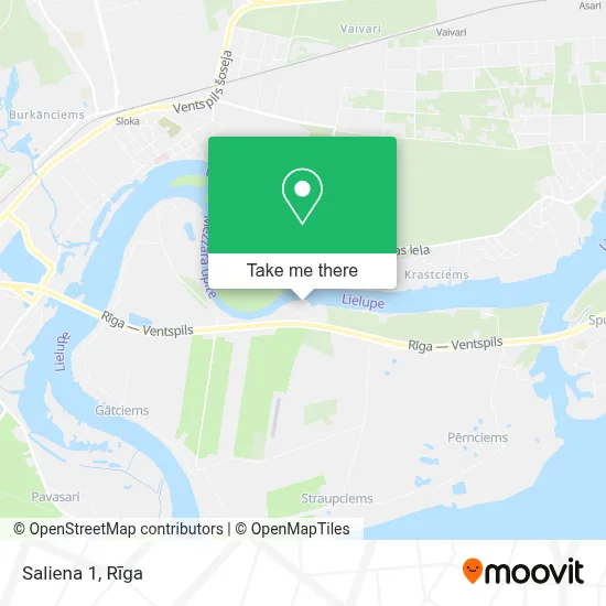 Saliena 1 map