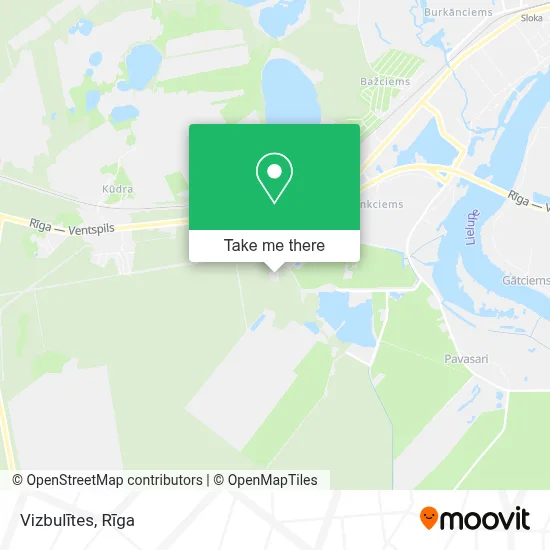 Vizbulītes map