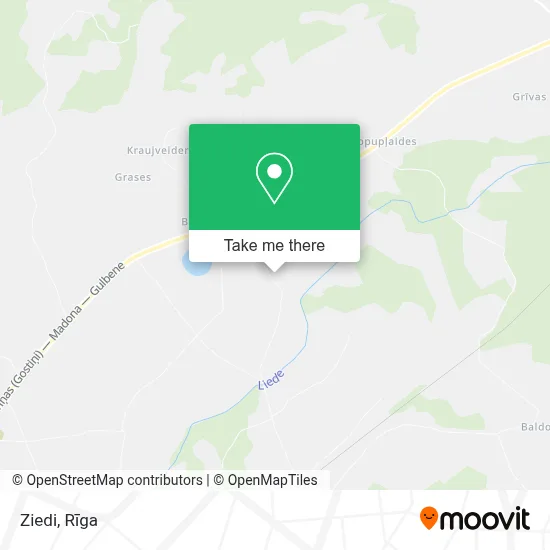Ziedi map