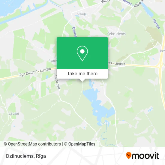 Dzilnuciems map