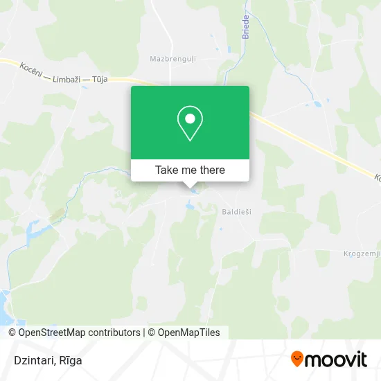 Dzintari map