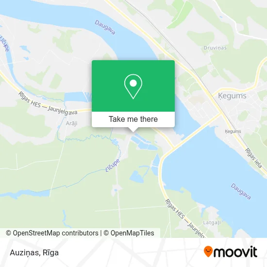 Auziņas map
