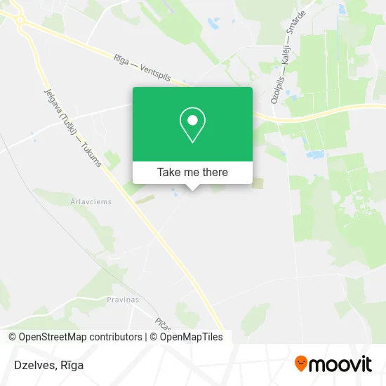 Dzelves map