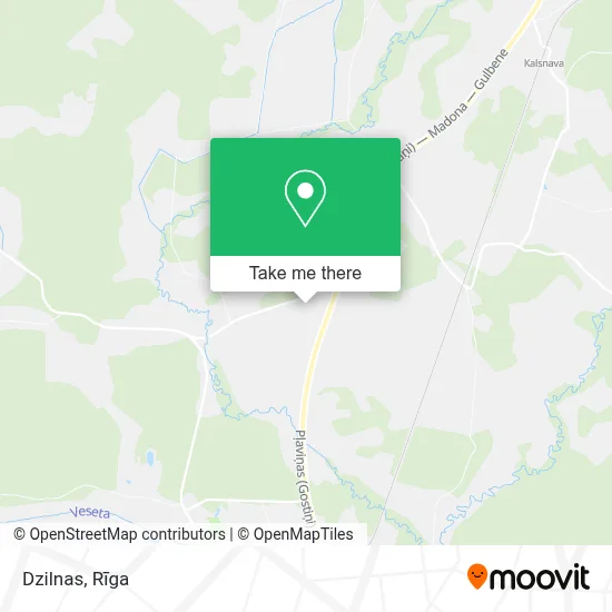Dzilnas map