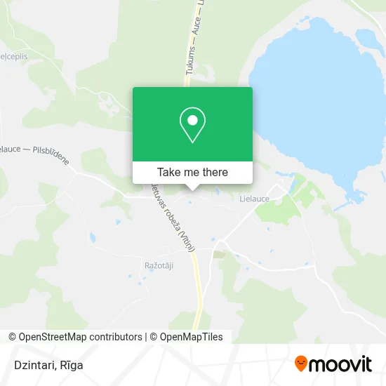 Dzintari map