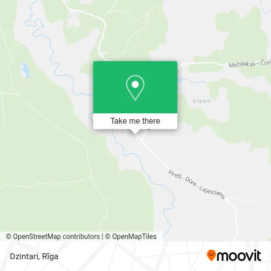 Dzintari map