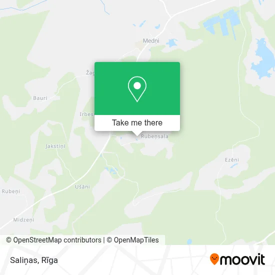 Saliņas map