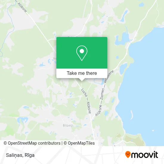Saliņas map