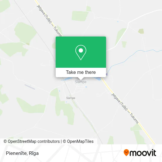 Pienenīte map