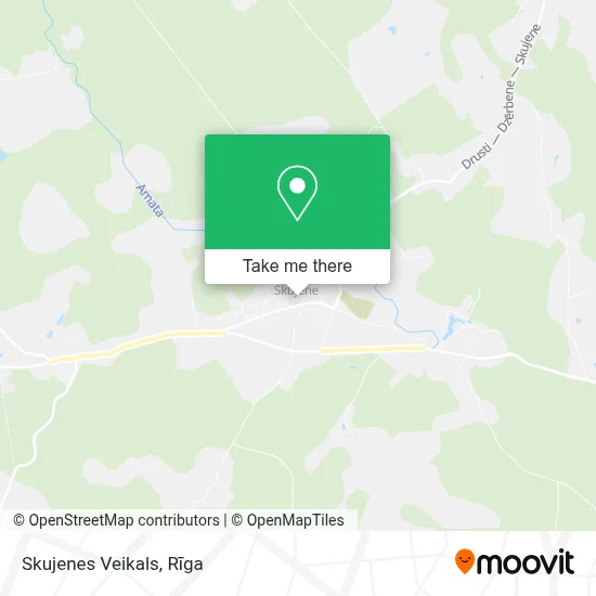 Skujenes Veikals map