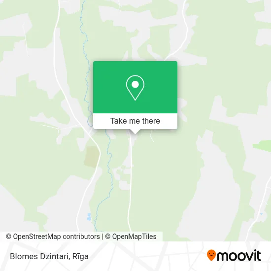 Blomes Dzintari map