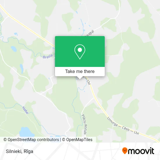 Silnieki map