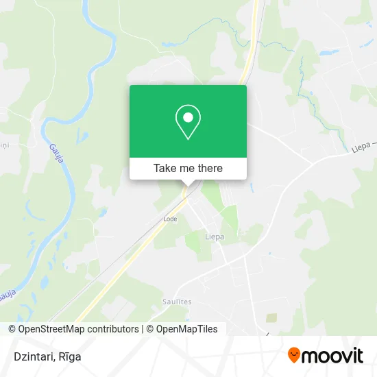 Dzintari map